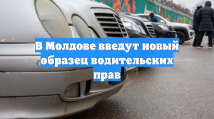 В Молдове введут новый образец водительских прав