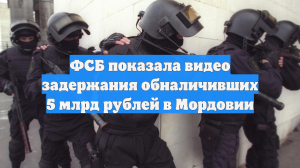ФСБ показала видео задержания обналичивших 5 млрд рублей в Мордовии