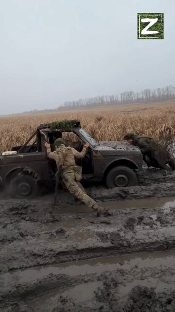 СВО смотреть онлайн