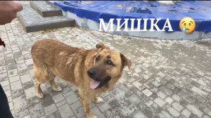 24.12.25 Худею. 6 недель позади! -10 см! Печальная  новость🥲