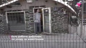 Есть работа _ Работник по уходу за животными