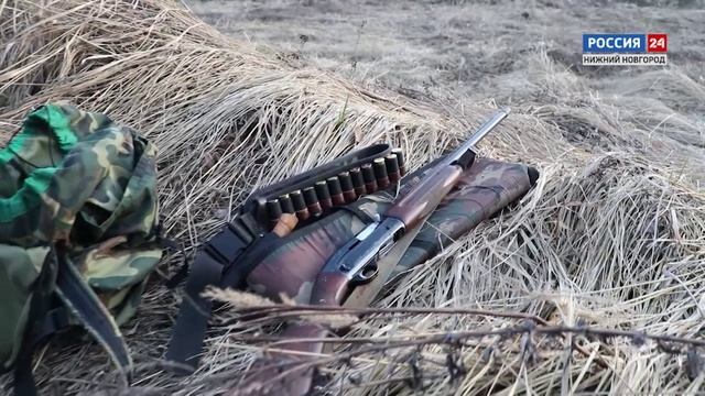 Лес и человек_охрана объектов животного мира_1_2023