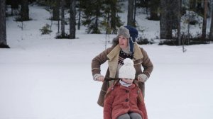 Финские сани