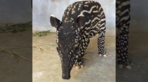 VID_20251224_172403_926.mp4