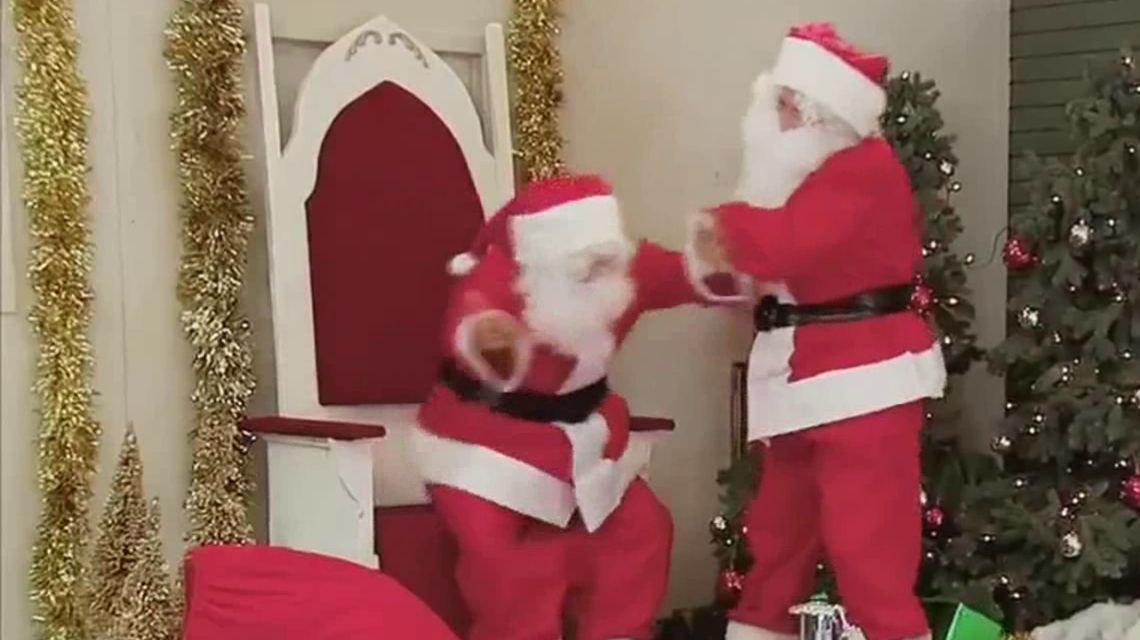 Юмор - "Новогодний конфликт" смотреть онлайн