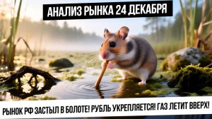 Анализ рынка 24 декабря. Рубль укрепляется! Индекс застыл в ожидании новостей. Газ летит вверх!