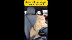 Когда собрал новую пати в Lineage 2 #twitch #lineage2 #shorts #short #shortvideo