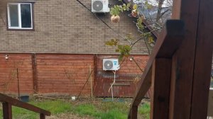 СОЧИ ГОРНОЕ ЛОО ВЕЧЕР 24.12.2025