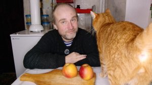 завтрак с Рыжулей. спасибо за донат. две Надежды. мукбанг. обжор. еда на камеру. диета. шизофрения.