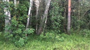 святитель Спиридон,епископ Тримифунтский,день памяти 25 декабря