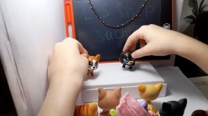 LPS концерт в честь канала LPS Shop Саша у него 31 Подписчик