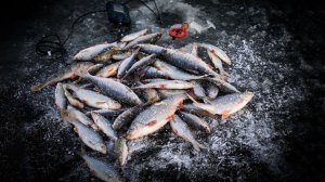 Безмотылка с кивком С. Антонова