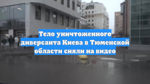Тело уничтоженного диверсанта Киева в Тюменской области сняли на видео