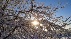 Погода и теплица 24 декабря, Пензенская область, сегодня -22°