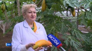 Йәйҙе һағынып өлгөргәндәр Өфө уртаһындағы тропик мөхиткә сума ала