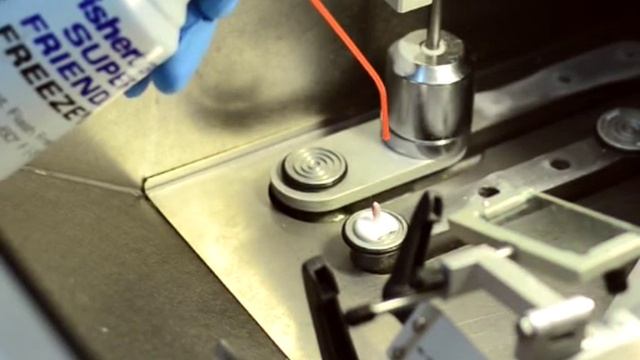 Криотомия, как правильно делать криотомные срезы. все о криотоме - криостате