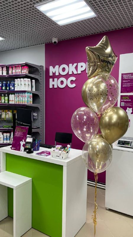 1 Мокрый нос в г.Якутск 