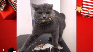 Анекдоты, юмор, статусы, приколы 😁