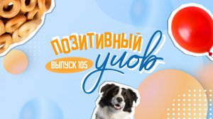 Секрет украшения праздничной елки и необычные питомцы китайской молодежи. "Позитивный улов"