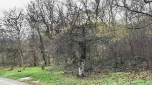 ОДЕССА 24 ДЕКАБРЯ 2025. ДЛЯ ЧЕГО ОБНАРУЖИЛИ МИНДИЧА В ИЗРА