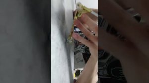 трансляция Саши