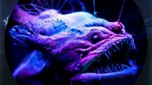 глубоководный удильщик