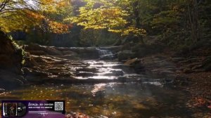 Дождь за окном