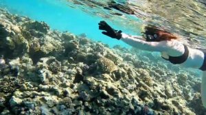 Мой free diving.mp4