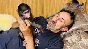 Анфиса с Фиником снова делят папу Влада, Анфиса побеждает, но Финя не сдается)))