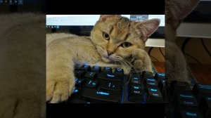 Написал письмо с приветом - стихи Виктора Левашова, Ярославль.