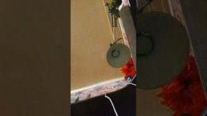 Китай на мечах