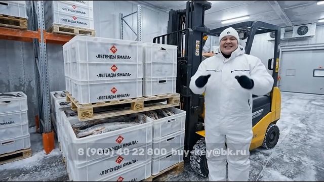 Свежемороженая рыба оптом