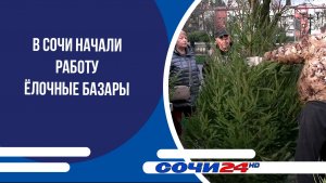 В Сочи начали работу ёлочные базары