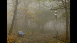 Вторник и утро туманное - стихи Виктора Левашова, Ярославль.