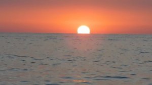 ВИДЕО  ПВН  ББ   (1625)