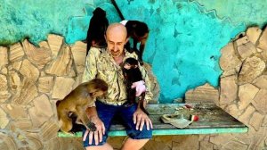 Мы так рады что наши малыши уже ПРИНИМАЮТ Анфису в свою стаю,а Маня просто не отходит от нее)