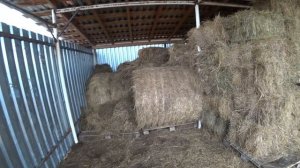 Деревенские будни / Ноябрь - Декабрь