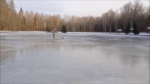 Заливка льда Нижнего и спорт зоны. Клёвое место лосиный остров.