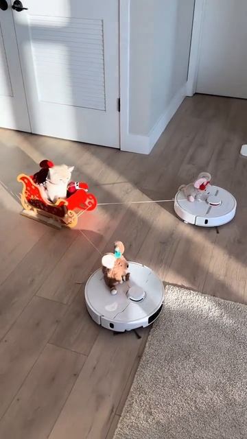 Новокотний экспресс