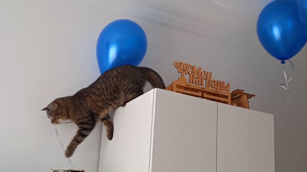 У кого сегодня день рождения?