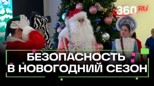 Елка о правилах дорожного движения прошла в центре Рошаля