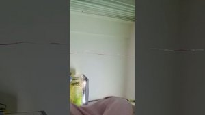 собираем рукзак в школу на четверг чекк