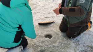 Основной водоём.