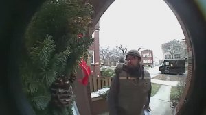 BRAIN TIME.  Delivery Drivers vs Animals _ When Things Go Wrong