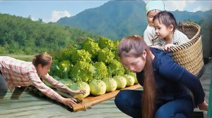 Собираю 500 кг цветной капусты и кольраби. Торговля на рынке. Веду хозяйство. Дуонг. Вьетнам