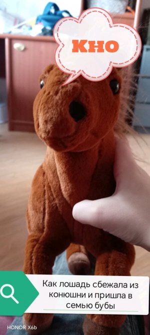 Как лошадь сбежала из конюшни и пришла в семью бубы