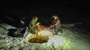 Увидеть море и ... За камбалой на Карское море | С ПОЛЕМ