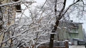 #ах этот пушистый снег