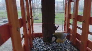 Доброе утро, всем хорошего настроения ☕