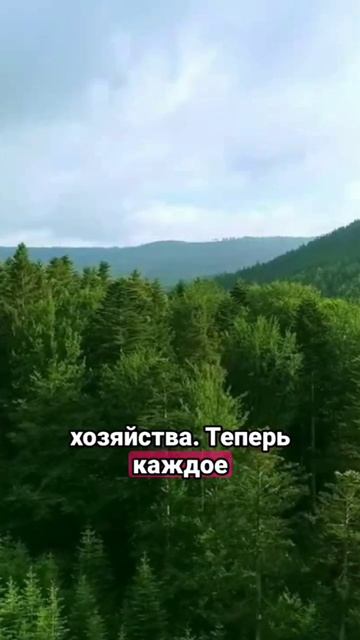 Леспром России: введено более 1,5 млн.тонн новых мощностей смотреть онлайн